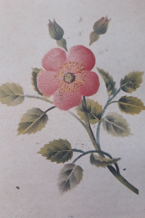 Gold, Weihrauch und Myrrhe - Ansbach - 30.07.2026 15:00