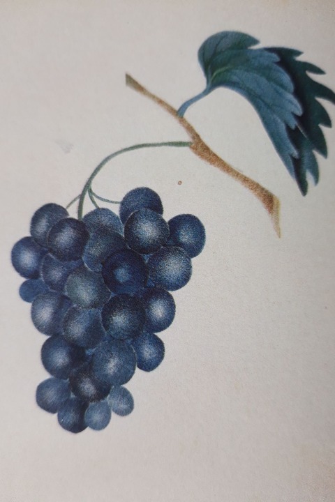 Es ist die Zeit der K�nige nicht mehr - Ansbach - 29.07.2026 20:00