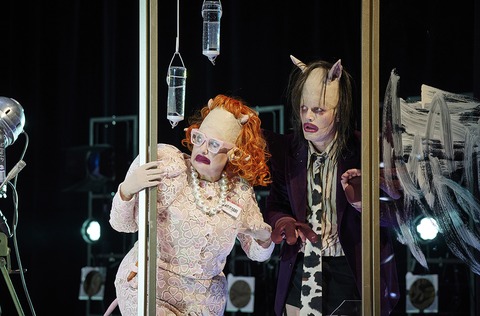 Farm der Tiere - Potsdam - 25.04.2026 19:30