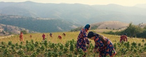 DJ Ahmet - Basel - 02.04.2026 13:00