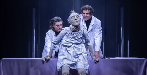 The Lion's Face - Dresden - 27.06.2026 19:30