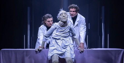 The Lion's Face - Dresden - 26.06.2026 19:30