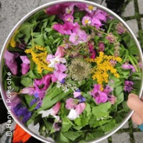 Essbare Wildkr�uter in M�nchen entdecken - PULLACH - 25.07.2026 10:00