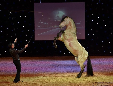 Christmas on Horse „ Der magische Brunnen“ - Die sch�nste Pferdeshow in Schwaben. - N�rdlingen - 05.01.2027 15:00