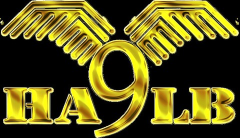 Rock im Ello mit Halb/9 & Marauder - Hennigsdorf - 21.11.2026 20:00