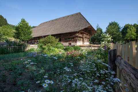 F�hrung. Die alten und die neuen H�user. Stefan Blum, Architekt - Gutach (Schwarzwaldbahn) - 12.04.2026 11:00