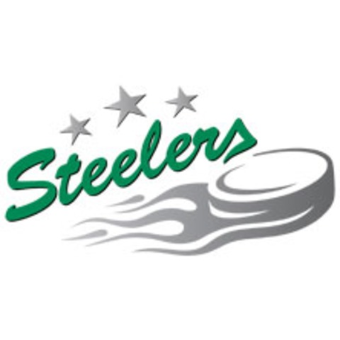 Bietigheim Steelers - Kassel Huskies - Bietigheim-Bissingen - 08.04.2026 19:30