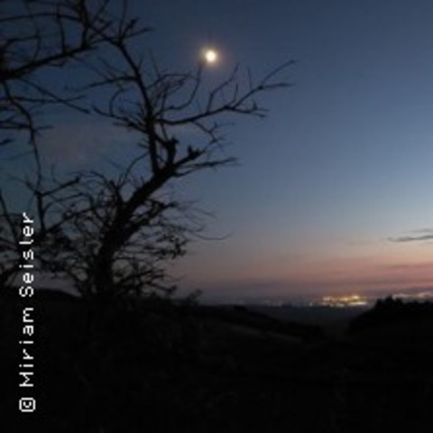 Mystischer Sagenrundgang Raun�chte - Sch�nbrunn - 23.12.2026 15:00