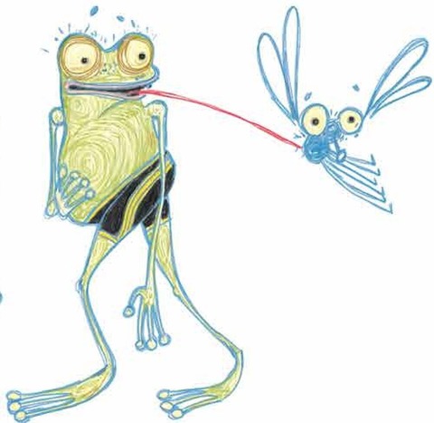 Kindersommer: Die Wahrheit �ber den Froschk�nig - Prerow - 13.08.2026 15:00