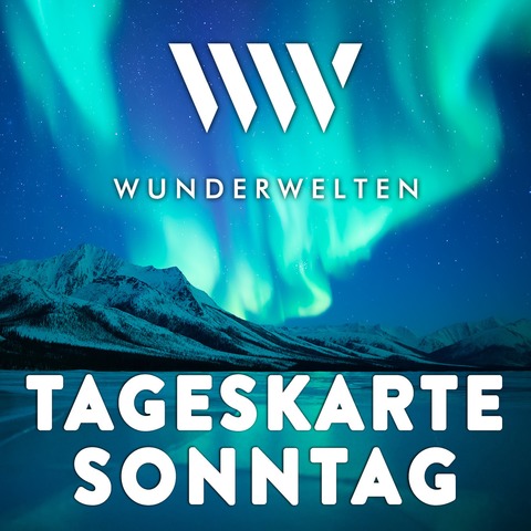 WunderWelten: Tageskarte Sonntag - Heidelberg - 10.01.2027 10:59