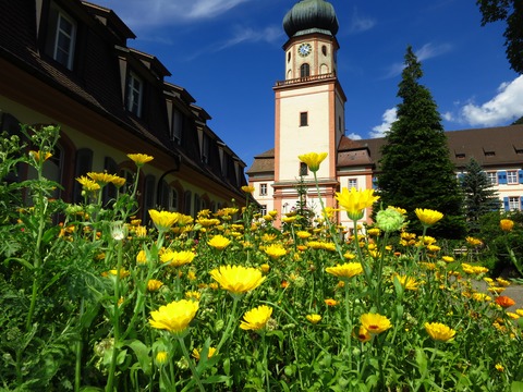 Barockkirche St. Trudpert - M�nstertal - 15.05.2026 16:00