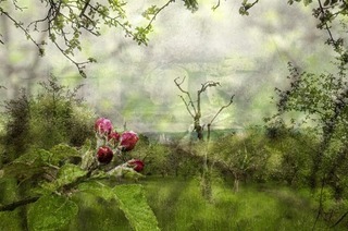 Die neue Ausstellung im Kesselhaus zeigt unterschiedliche M�glichkeiten der Fotografie eines Motivs