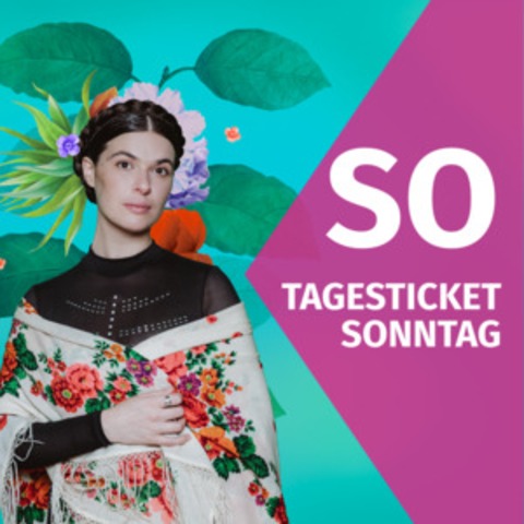 Tagesticket Sonntag, 21.06.2026 - L�dinghausen - 21.06.2026 11:00