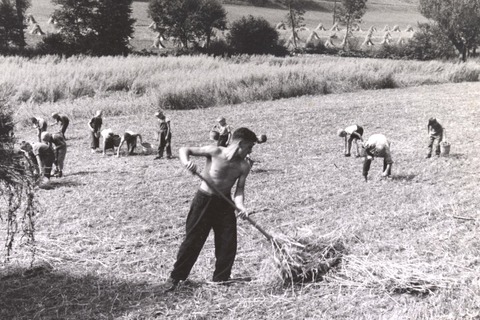 F�rsorgerische Zwangsmassnahmen im Kanton Baselland - Liestal - 02.06.2026 18:00