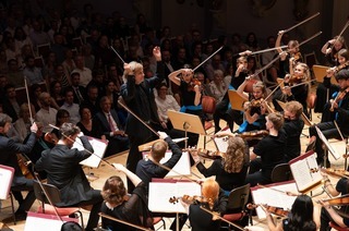 Deutsche Streicherphilharmonie & Louis Zhang - Divertimento