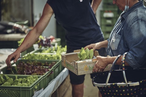 Setzlingsmarkt - Freiburg - 10.05.2026 10:00