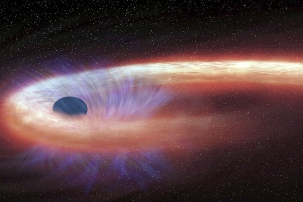 Die Theorien Einsteins im Planetarium erleben - Badische Zeitung TICKET