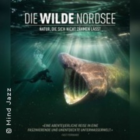 Die wilde Nordsee - Offenbach - 30.04.2026 15:00