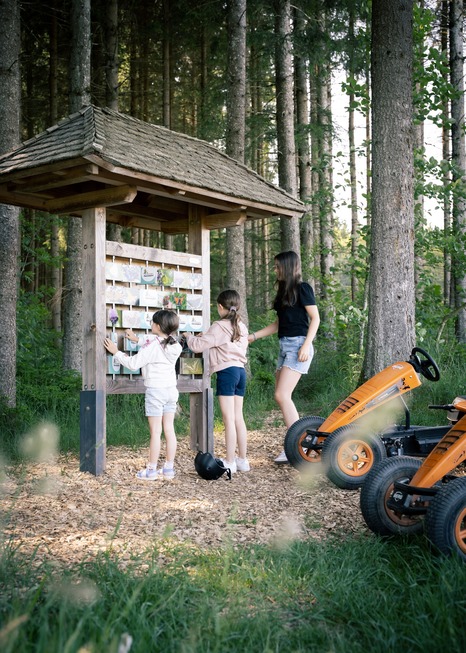 Kartanlage Gaspedal (R�tenbach) - Friedenweiler