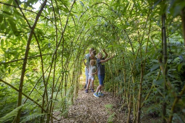 Erlebnispfad Flori Forelle (�dsbach)