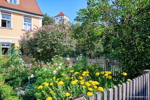 G�rten und Gr�n - G�rten und Gr�n in der Innenstadt - Friedberg - 25.05.2026 15:00