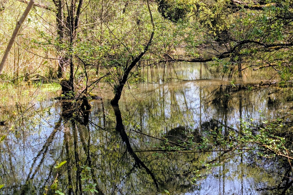 Schnakenpfad - Mei�enheim