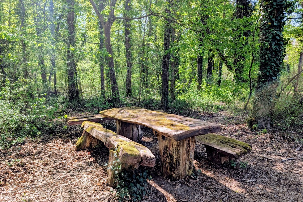 Schnakenpfad - Mei�enheim