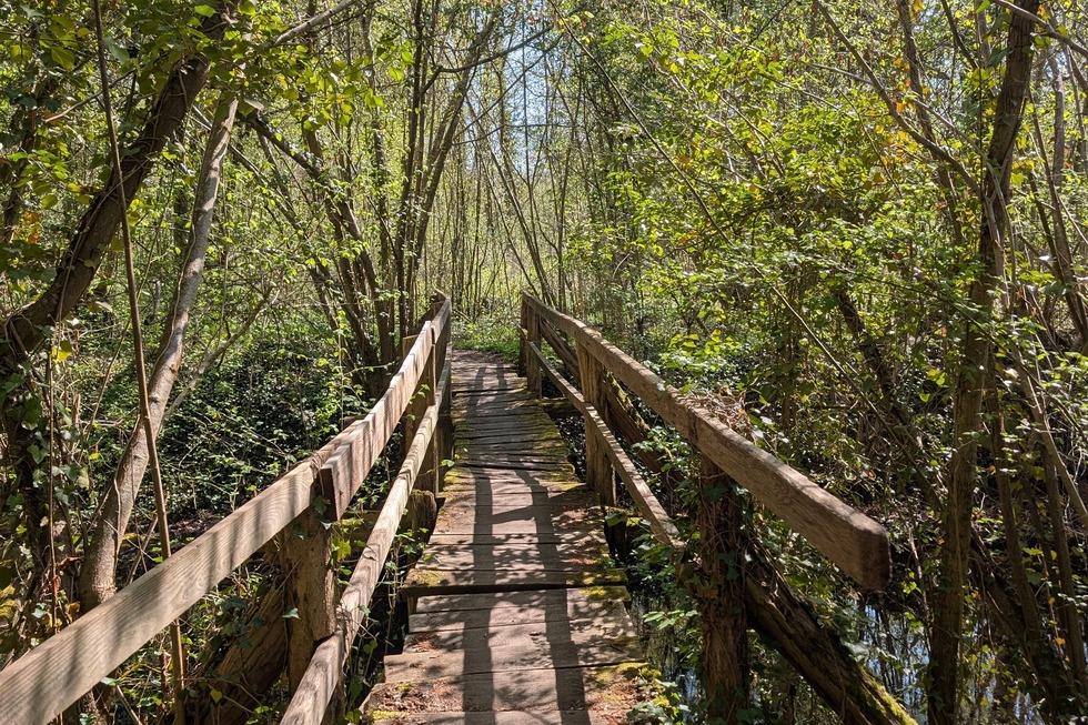 Schnakenpfad - Mei�enheim