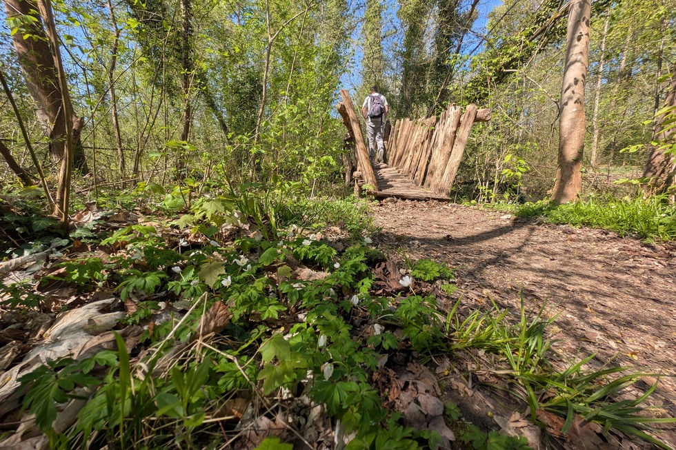 Schnakenpfad - Mei�enheim