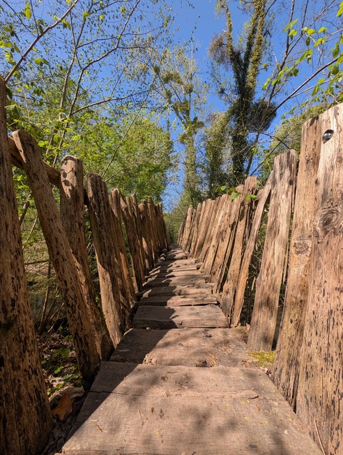 Schnakenpfad - Mei�enheim