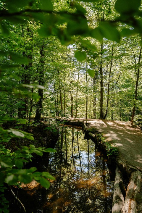 Wasserbauhistorischer Wanderweg entlang des Stillen Bachs - Weingarten - 26.07.2026 10:00