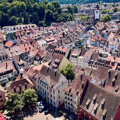 Freiburg f�r Einsteiger - �ffentliche Stadtf�hrung Freiburg - Freiburg - 19.05.2026 10:30
