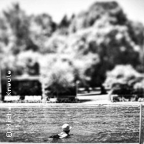 Sommer mit Haubentauchern - Herbrechtingen - 16.05.2026 20:00