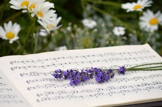 Instrumenten- und Musikalienb�rse