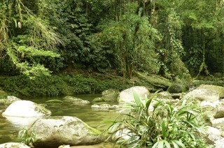 Im Waldhaus Freiburg dreht sich im Rahmen der Reihe „W�lder der Welt“ alles um Kolumbien