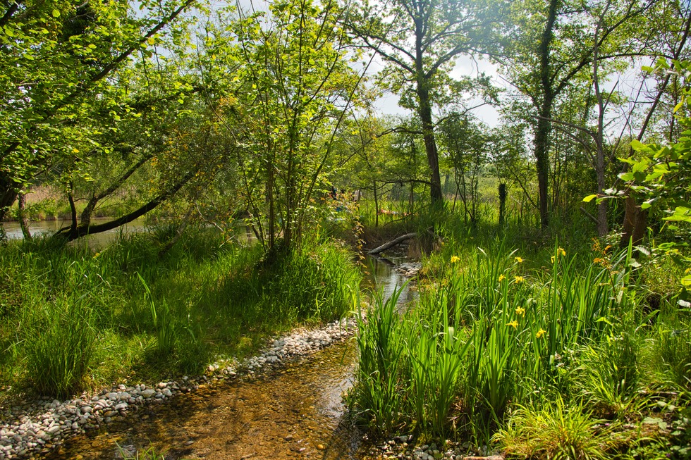 Quellenpfad Sentier des sources - Rhinau