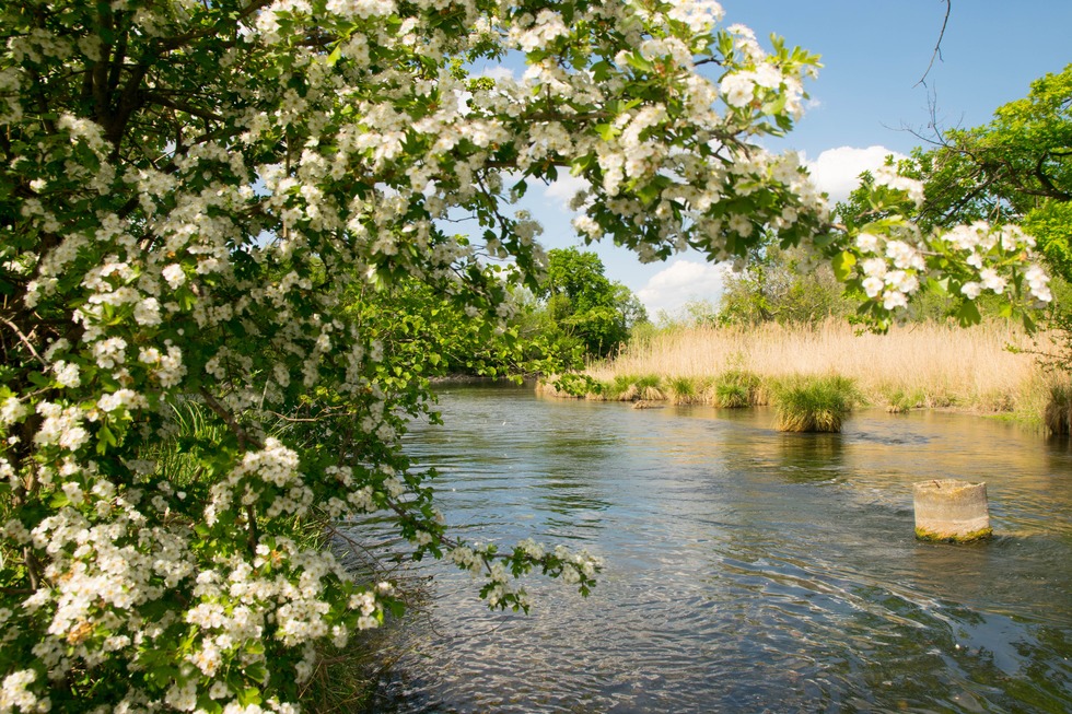 Quellenpfad Sentier des sources - Rhinau