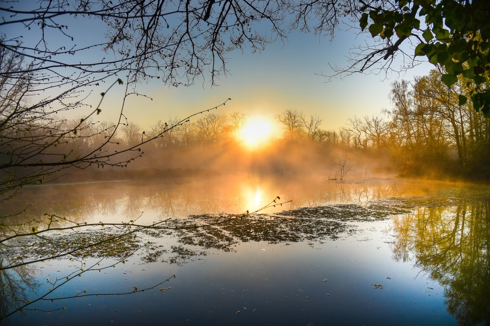 Quellenpfad Sentier des sources - Rhinau
