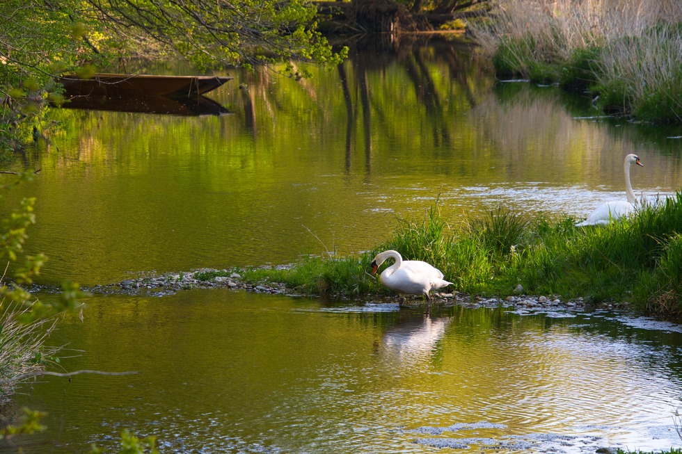 Ile de Gerstheim - Gerstheim