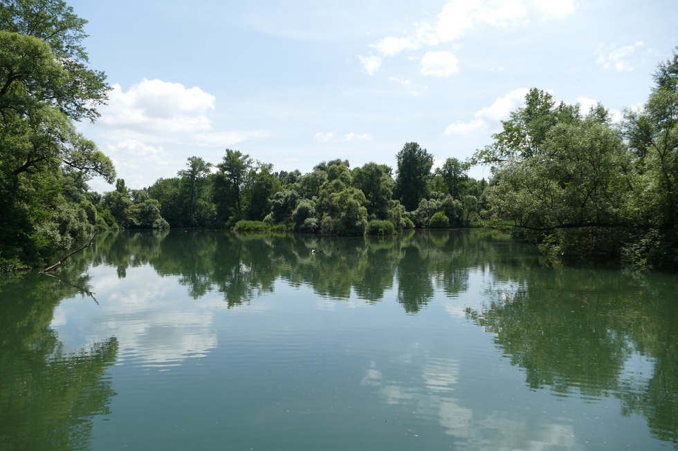 Fischadlerweg - Rheinau