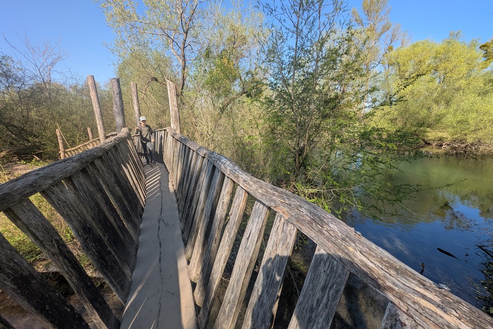 Auenwildnispfad (Altenheim) - Neuried