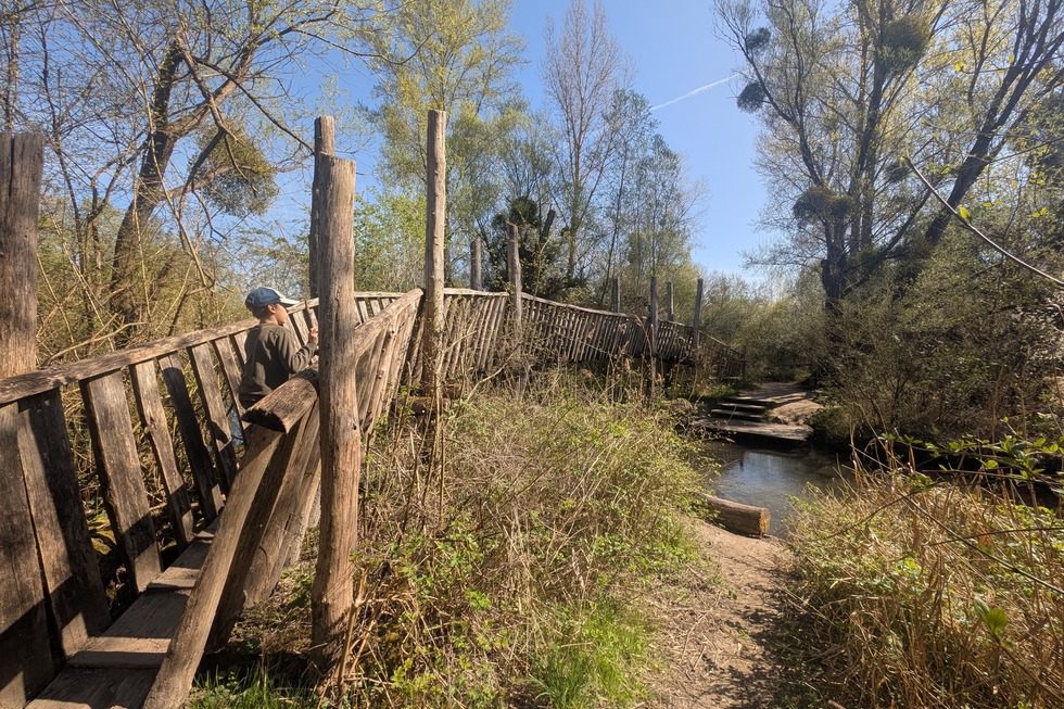 Auenwildnispfad (Altenheim) - Neuried