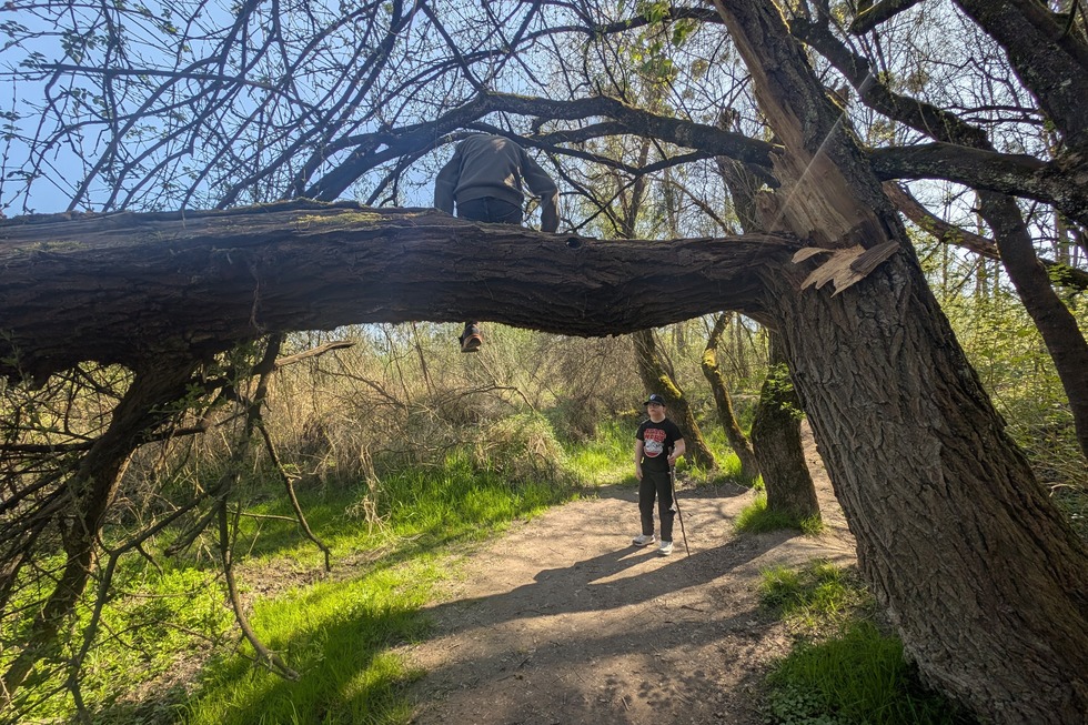 Auenwildnispfad (Altenheim) - Neuried