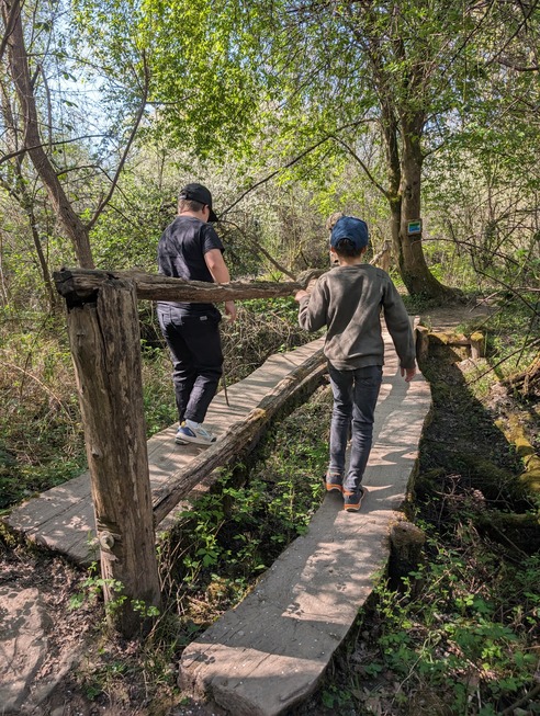 Auenwildnispfad (Altenheim) - Neuried