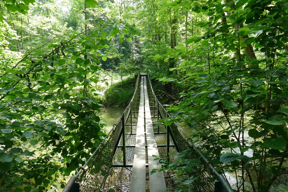 Rundwanderung im Illwald - Schlettstadt