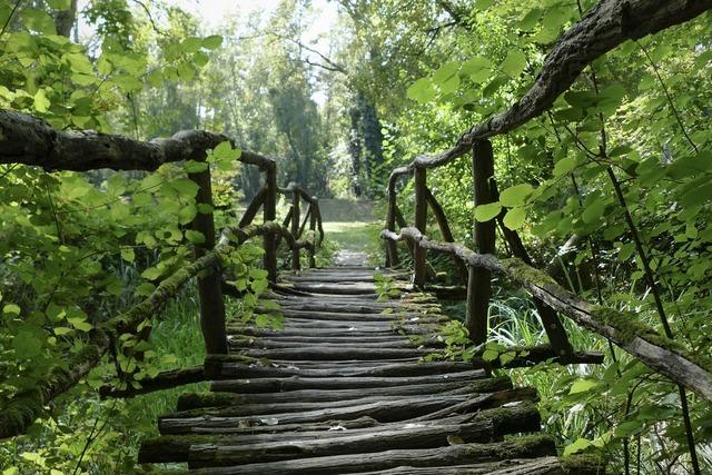 Rheinauenweg (Burkheim)