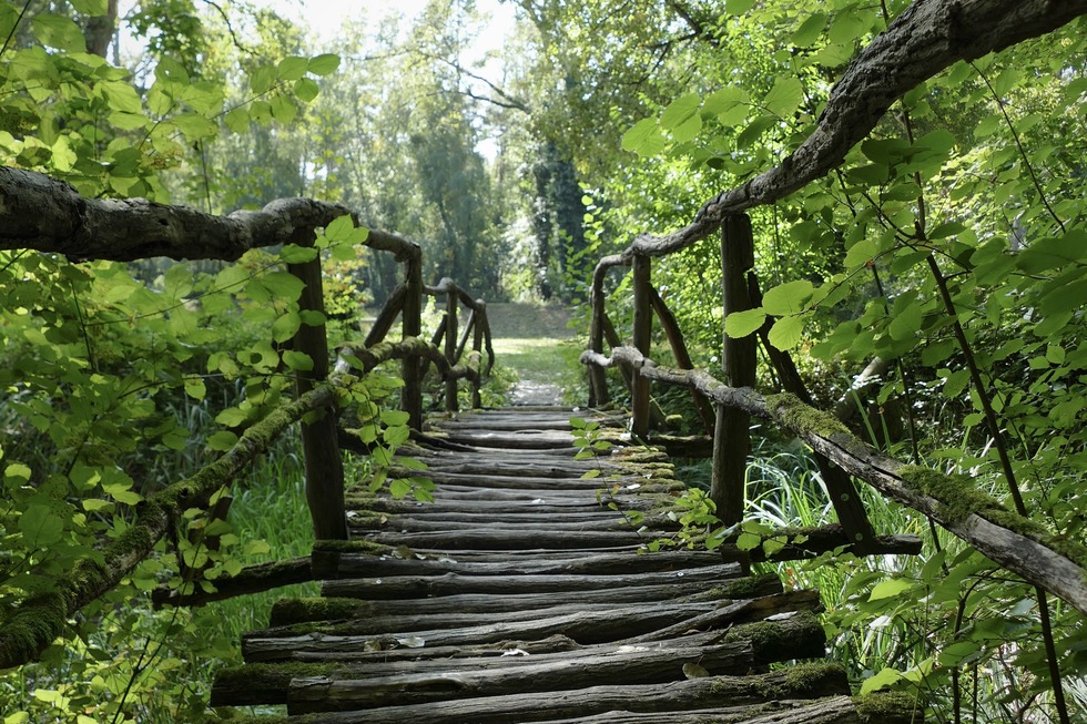 Rheinauenweg (Burkheim) - Vogtsburg