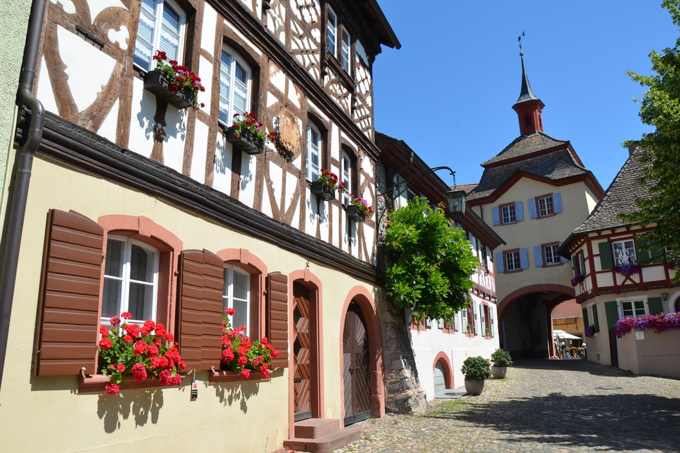 Rheinauenweg (Burkheim) - Vogtsburg