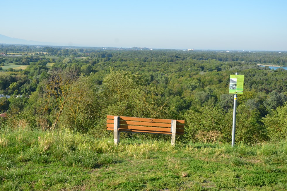 Rheinauenweg (Burkheim) - Vogtsburg