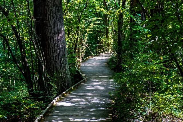 Rundweg Petite Camargue Alsacienne